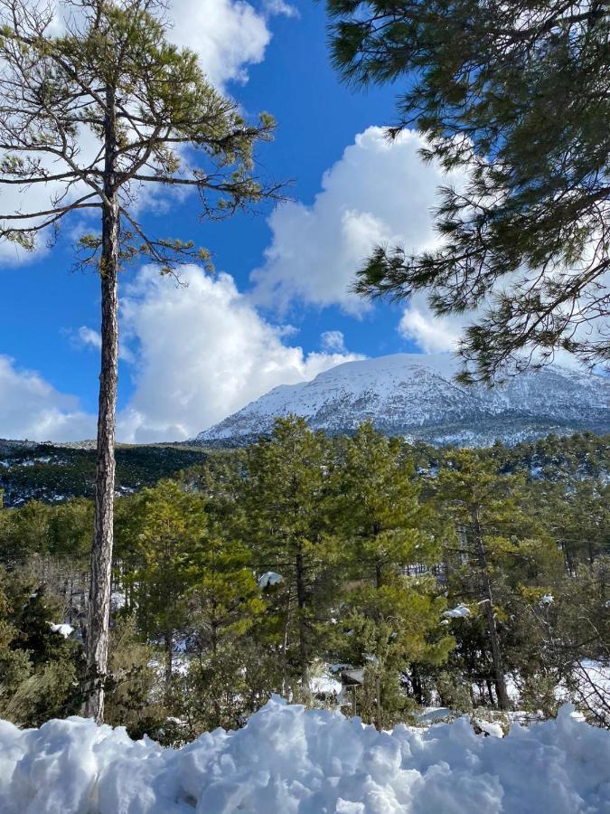 Casita Vista Alegre Διαμέρισμα Castril Εξωτερικό φωτογραφία