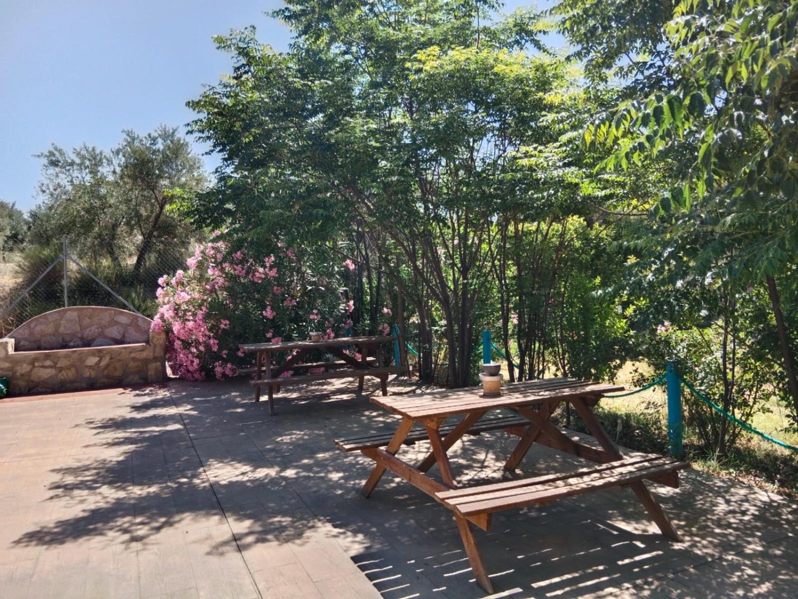 Casita Vista Alegre Διαμέρισμα Castril Εξωτερικό φωτογραφία